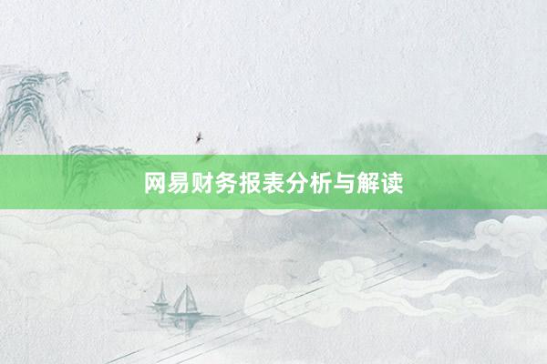 网易财务报表分析与解读