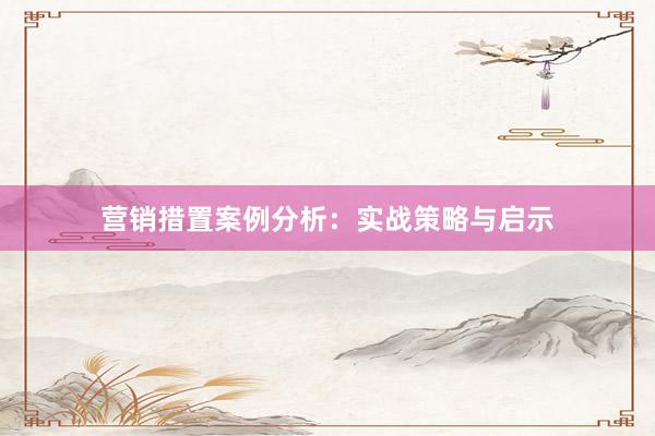 营销措置案例分析：实战策略与启示